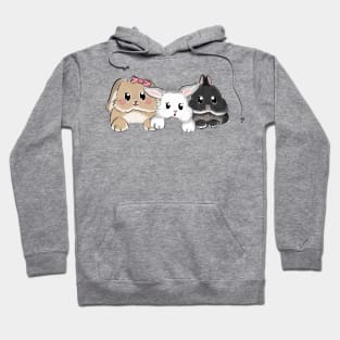 Three Cute Pocket Rabbit Hoodie